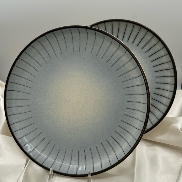 Denby Other - 2 Studio Dinner Plates by Denby